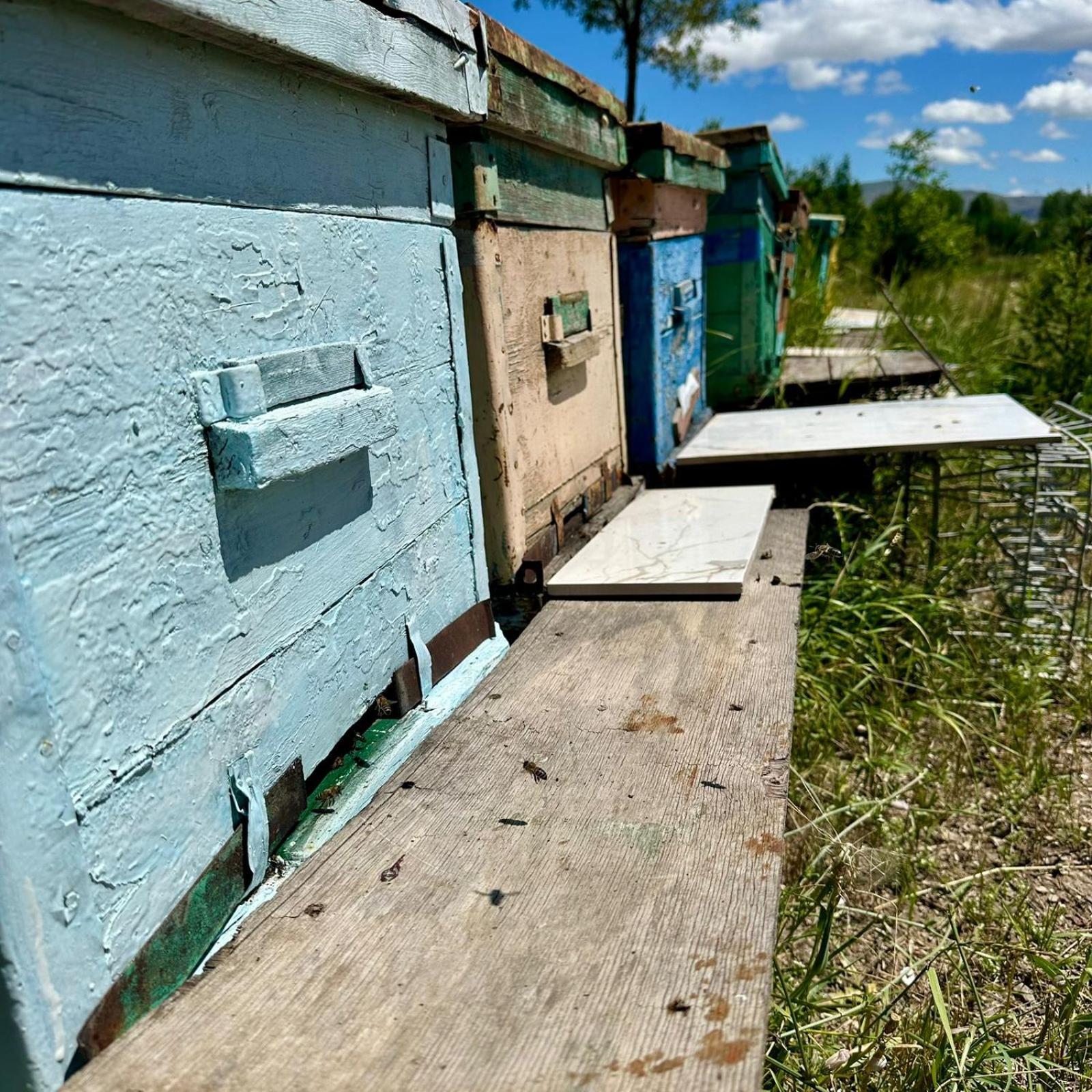 Eco House Lägenhet Gjumri Exteriör bild